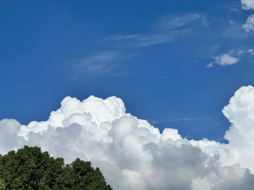 廣州藍，8微克閃耀全運！從化綠，6微克奠定基石！